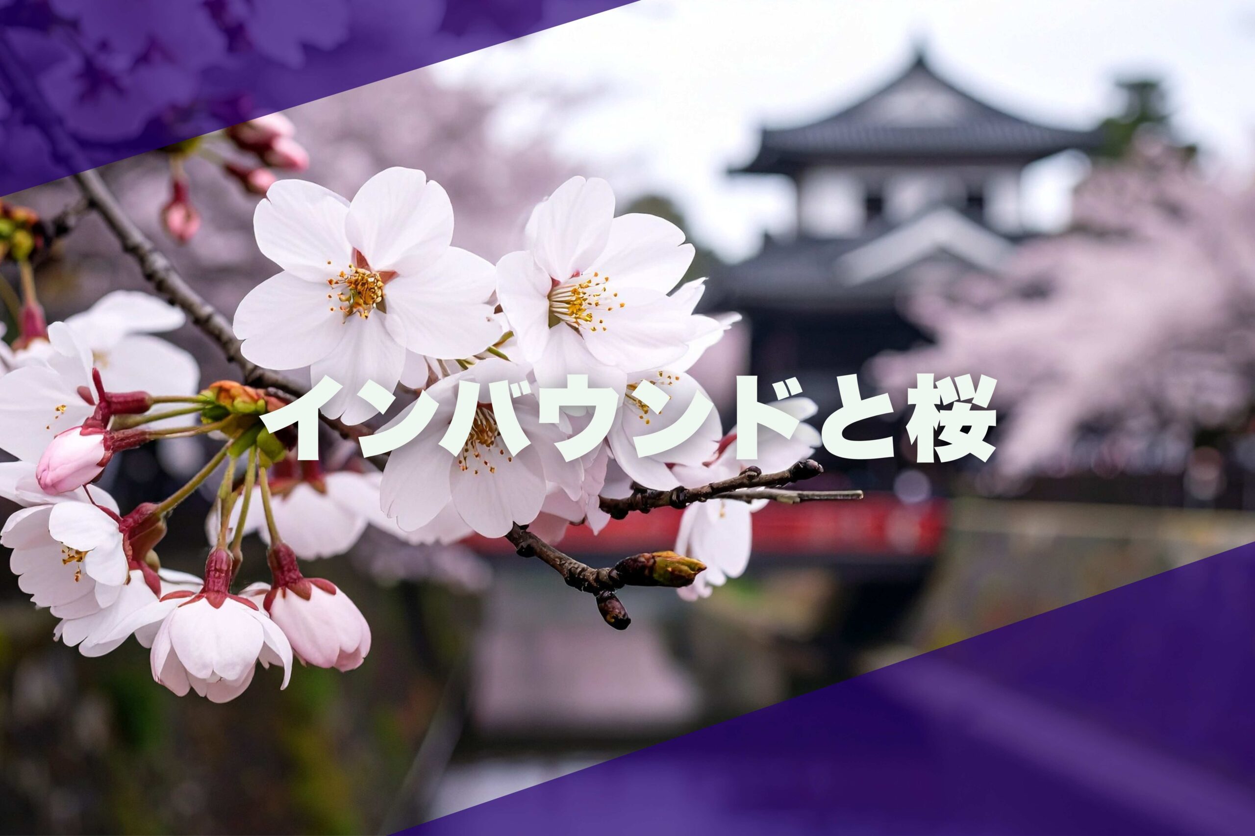 桜シーズンで訪日外国人集客を成功させる戦略：2026年に向けた具体的な